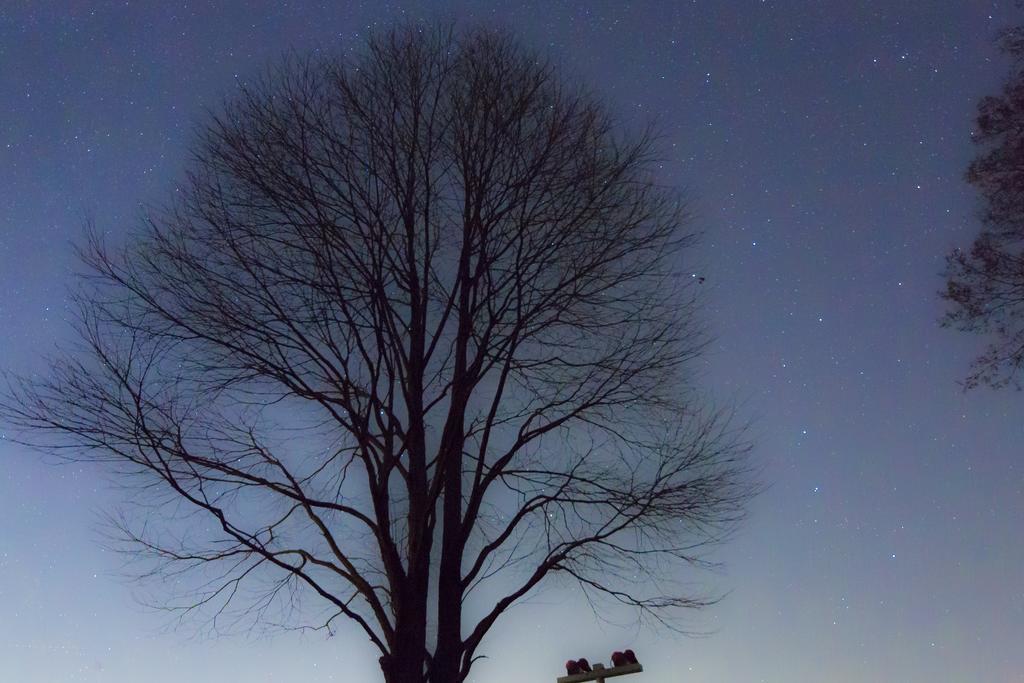 Minami Aso Luna Observatory Auberge Mori No Atelier Minamiaso Ngoại thất bức ảnh