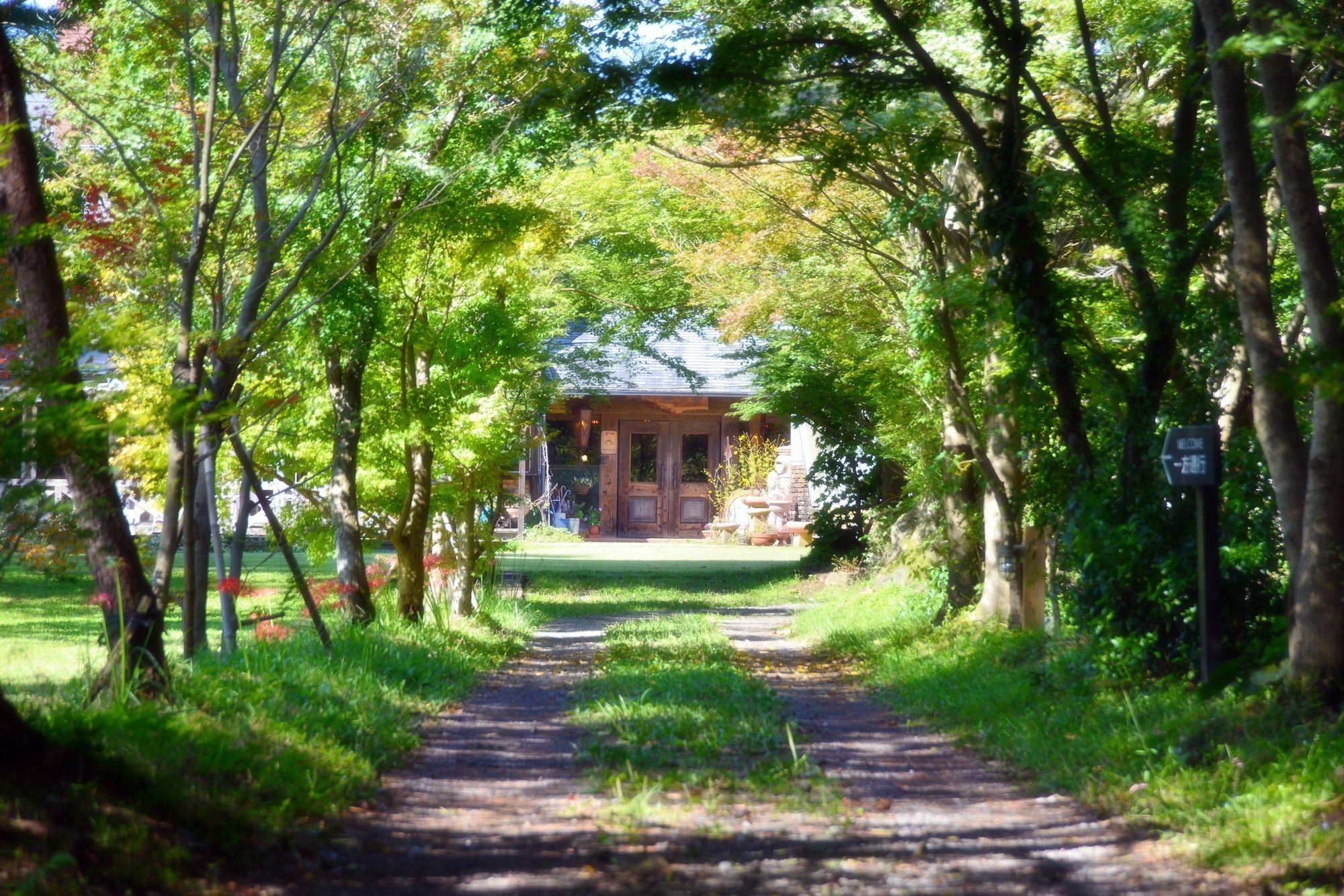 Minami Aso Luna Observatory Auberge Mori No Atelier Minamiaso Ngoại thất bức ảnh