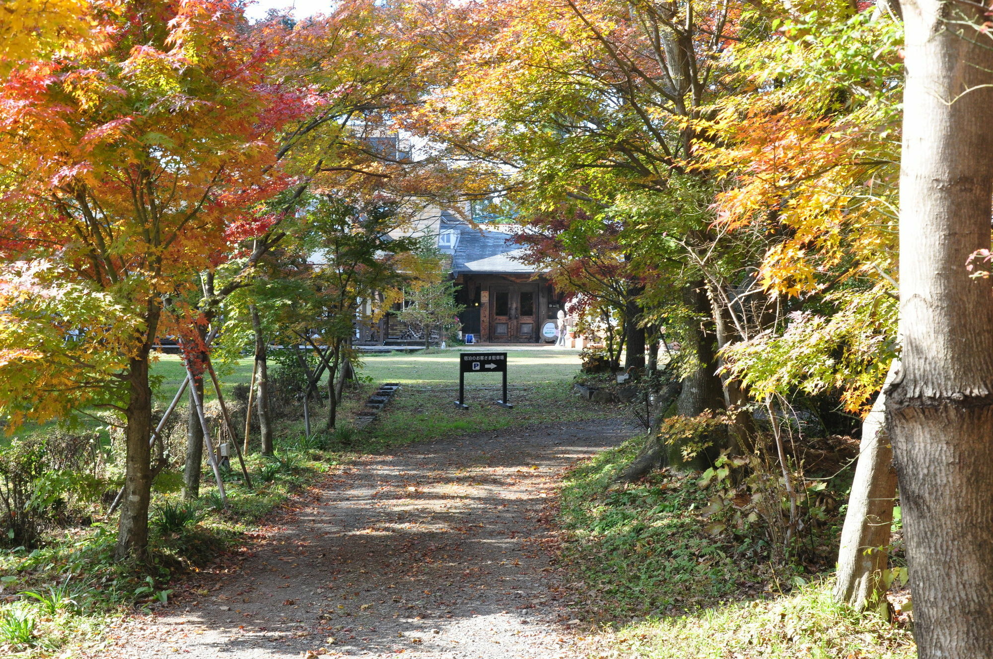 Minami Aso Luna Observatory Auberge Mori No Atelier Minamiaso Ngoại thất bức ảnh